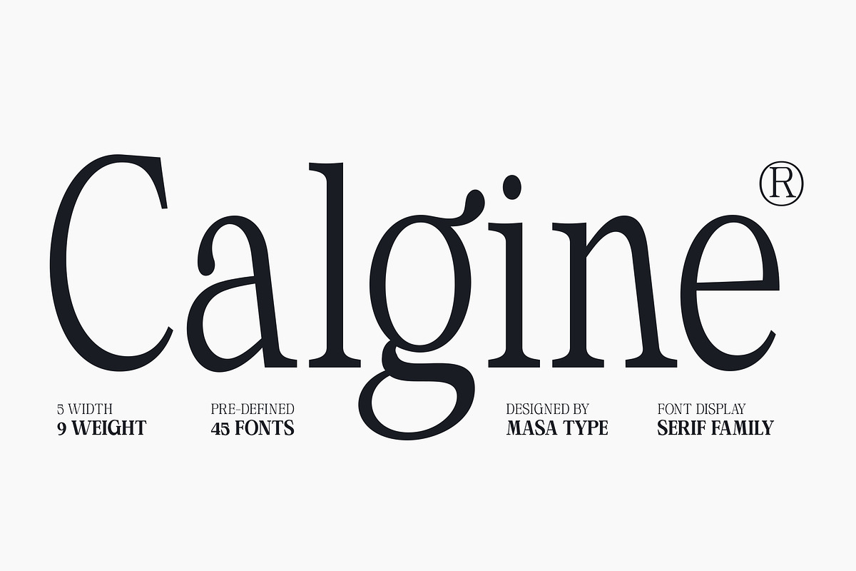 Calgine Serif, a Serif Font by MasaType (Photo 1 of 12)