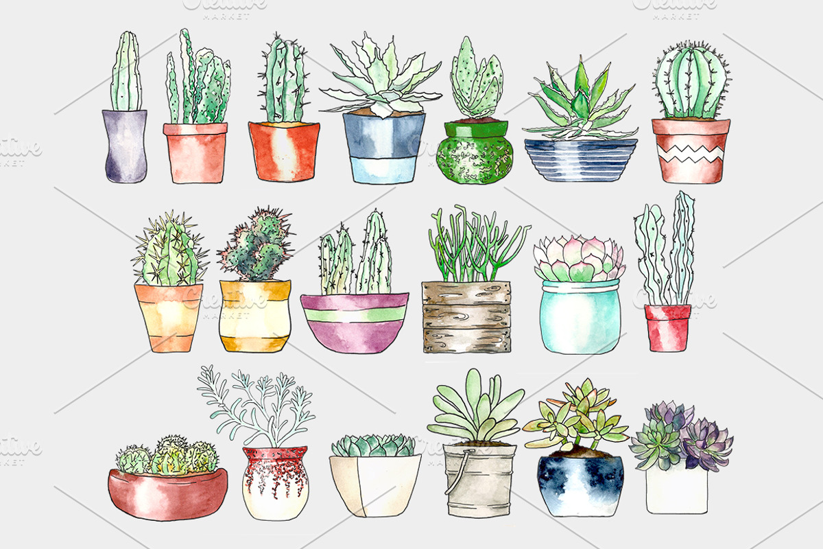 Potted Succulents Illustration Pack, an Illustration by plaidGecko (Photo 2 of 3)