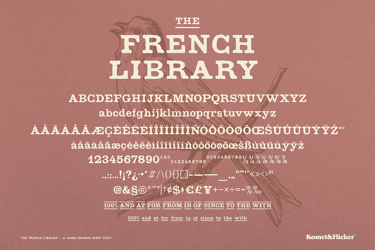The French Library, a Serif Font by Komet & Flicker (Photo 14 of 14)