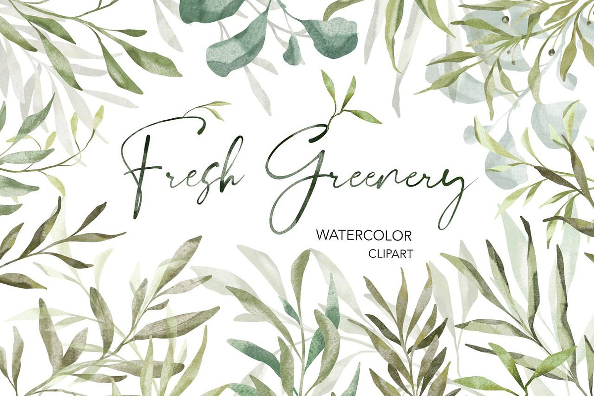 Greenery Watercolor Clipart, a Decorative Illustration by NKTKNS (Photo 1 of 9)