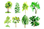 №30 Collection trees watercolor, a Decorative Illustration by Rasveta (Thumbnail 2 of 5)