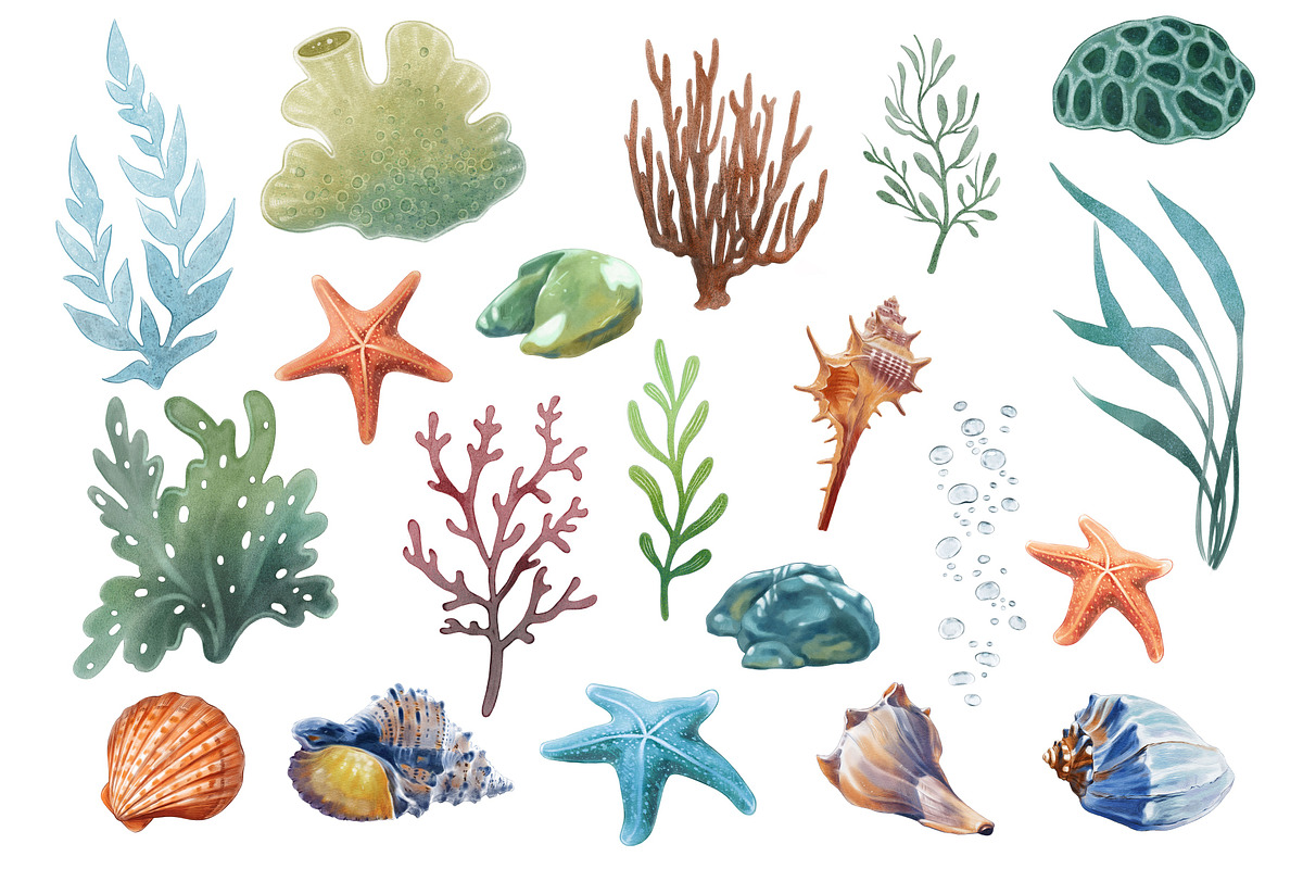 Underwater world watercolor collecti, an Animal Illustration by IrynaPanashii (Photo 3 of 16)