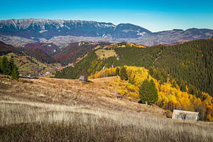 Stunning autumn scenery in Romania, a Nature Photo by Alpine Dreams
