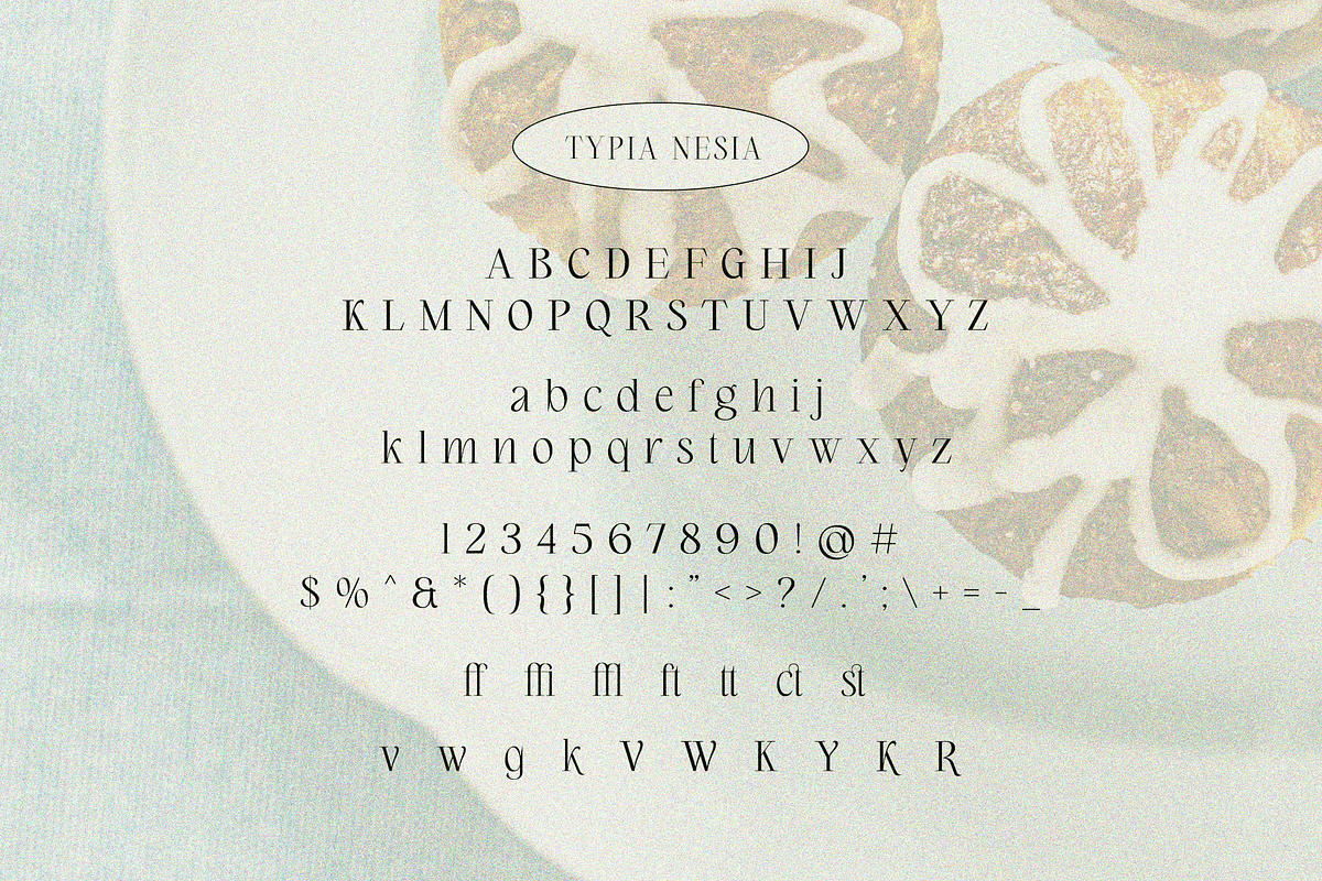 Brandcake Serif, a Serif Font by Typia Nesia (Photo 10 of 10)