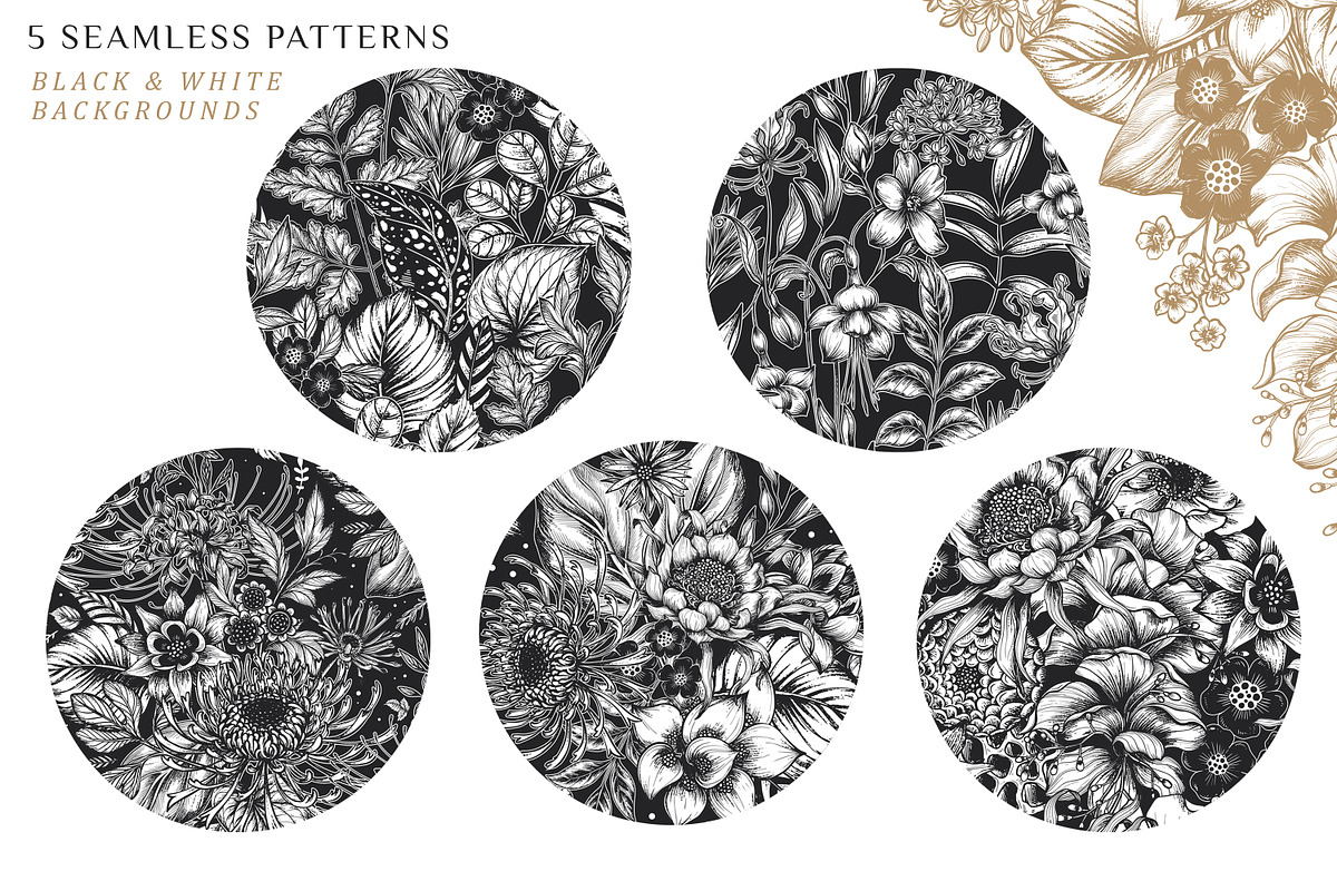 Day and Night. Vector Floral Set, a Pattern Graphic by Molly art (Photo 12 of 14)