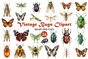 Vintage Bugs Clipart Bundle, a Seasonal Illustration by Designworld