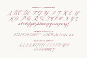 Caden Love Modern Calligraphy, a Handwritten Font by RHD Creative Studio (Thumbnail 10 of 12)