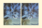 Coral – Hand Drawn Coral Forms, a Decorative Illustration by Madeline ODonoghue Design (Thumbnail 7 of 15)
