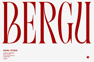 Bergu – Editorial Display Serif, a Serif Font by Sohel Studio