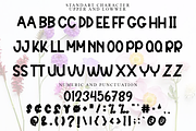 Ballon Romance, a Script Font by FreshTypeINK (Thumbnail 6 of 6)