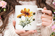 Coreopsis Flower Watercolor Clipart, a Seasonal Illustration by RobertsArt (Thumbnail 6 of 8)