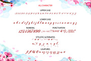 sintiya, a Script Font by edcreative (Thumbnail 3 of 5)