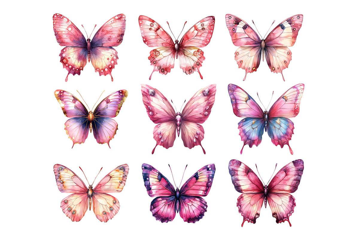 Pink Butterfly Watercolor Clipart, an Illustration by Dream Creation (Photo 5 of 5)