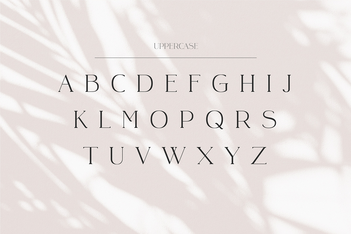 Lusican - Serif Display Font, a Sans Serif Font by Vesvocrea (Photo 6 of 9)