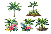 Banana Tree Free Clipart, an Illustration by DreamArtGraphic (Thumbnail 3 of 7)