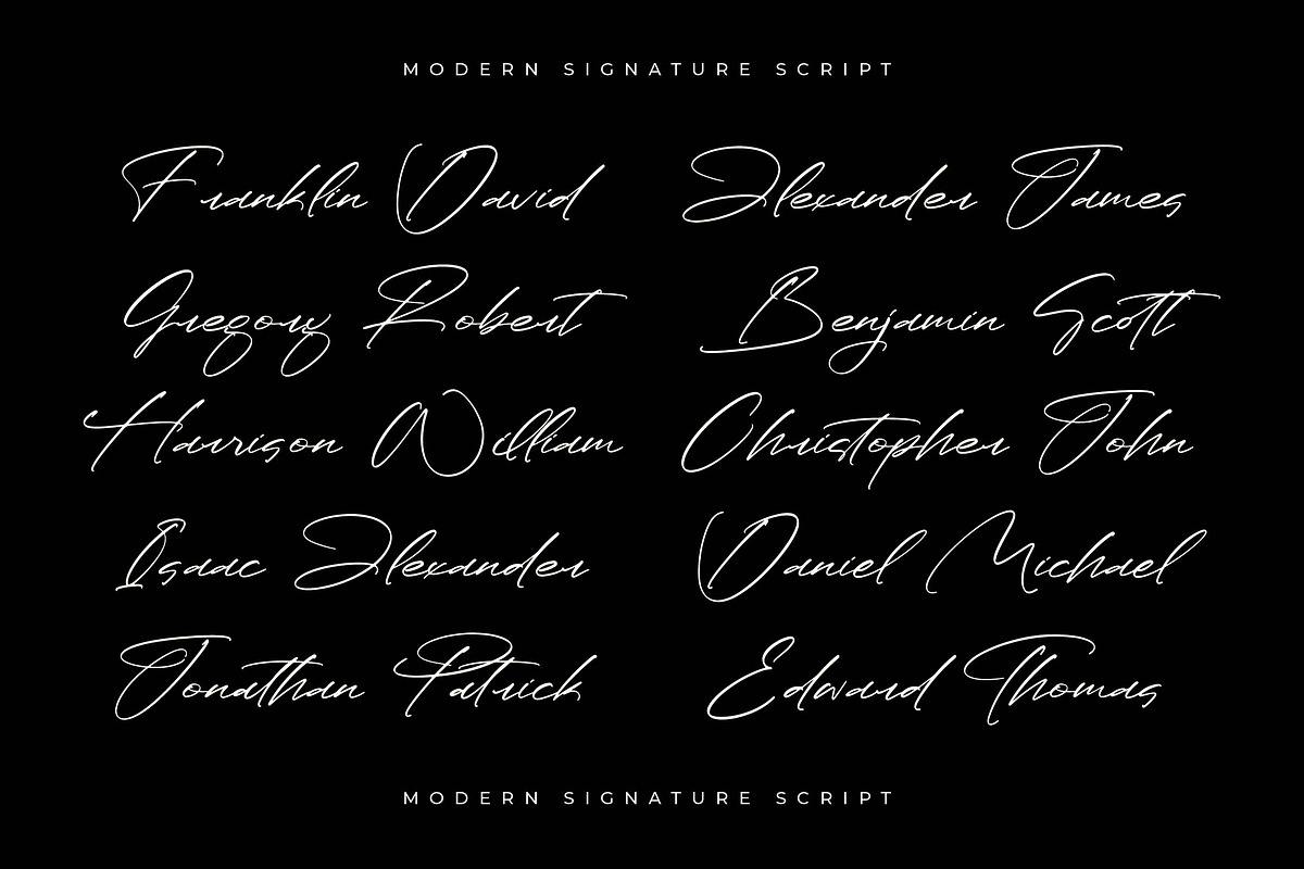 Paradise Stonelife Modern Signature, a Script Font by Letterena Studios Script (Photo 3 of 15)
