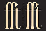 Garugis Modern Display Serif, a Serif Font by timelesstype.co (Thumbnail 5 of 20)