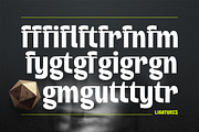 Neutralis Grotesk, a Sans Serif Font by Fargun Studio (Thumbnail 7 of 15)