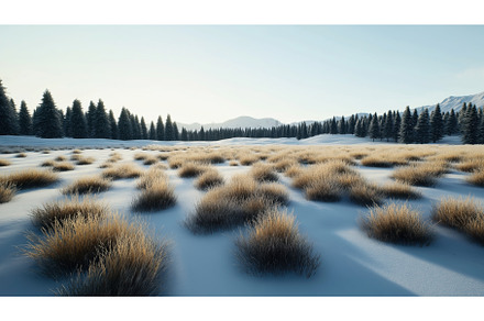 Snow-covered landscape with patches, a Nature Photo by Sergey Kotenev