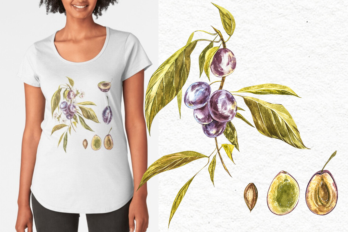 Plum in botanical style, a Food Illustration by Ann Astro (Photo 3 of 11)