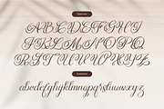 Rellydon Beautiful Calligraphy Font, a Script Font by Denustudios (Thumbnail 10 of 13)