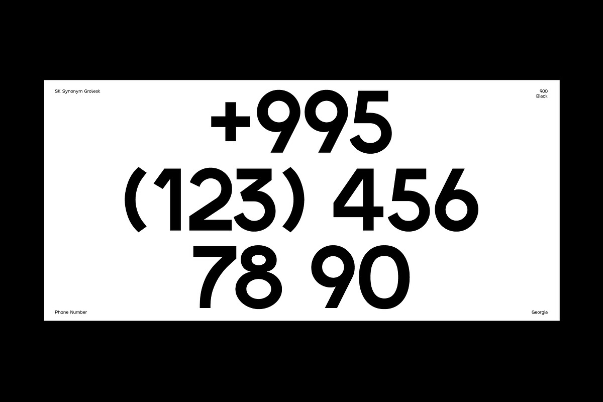 SK Synonym Grotesk — Modern Typeface, a Font by Shriftovik Type Foundry (Photo 5 of 15)