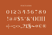 Moana Falisa – Modern Elegant Serif, a Serif Font by WhymoreArt (Thumbnail 11 of 11)