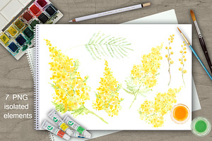 Mimosa. Watercolor Collection.