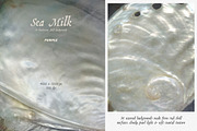 Sea Milk: Sheashell Backgrounds, a Background Graphic by Purple (Thumbnail 3 of 10)