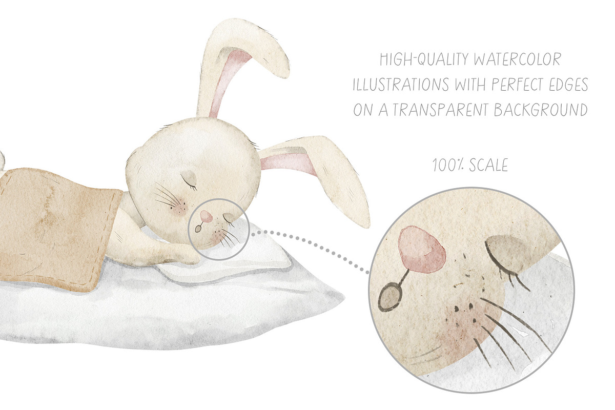 Watercolor Bunny Baby Clipart, an Illustration by Alisles (Photo 12 of 14)