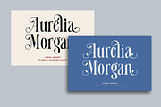 Hailove, a Serif Font by Zafiratype (Thumbnail 11 of 15)