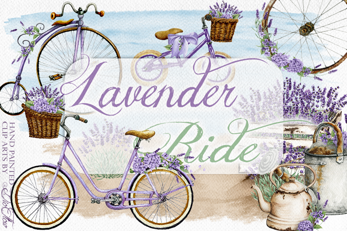 Lavender Ride Bicycle Illustration, a Decorative Illustration by DioFlow (Photo 1 of 5)
