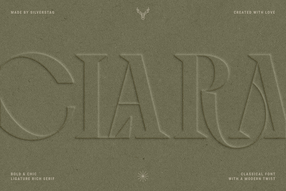 Archer Display - Ligature Serif Font, a Serif Font by SilverStag Type Foundry (Photo 19 of 29)