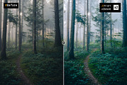 Bright Vibrant - Actions and presets, a Preset Add-On by Hydrozi Presets (Thumbnail 6 of 9)