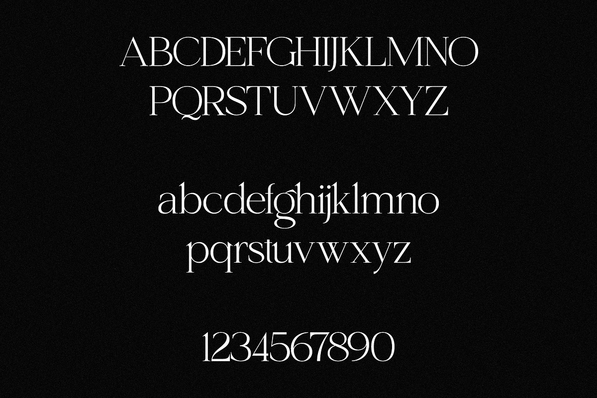 Shoreline - Elegant & Classic Duo, a Serif Font by Misha Sova (Photo 13 of 15)