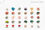 Ocean Nature Collection | Coral Pack, an Object Graphic by Lumeno (Thumbnail 4 of 10)