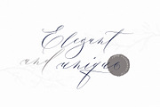 Seila, a Script Font by Papermode Co. (Thumbnail 2 of 12)