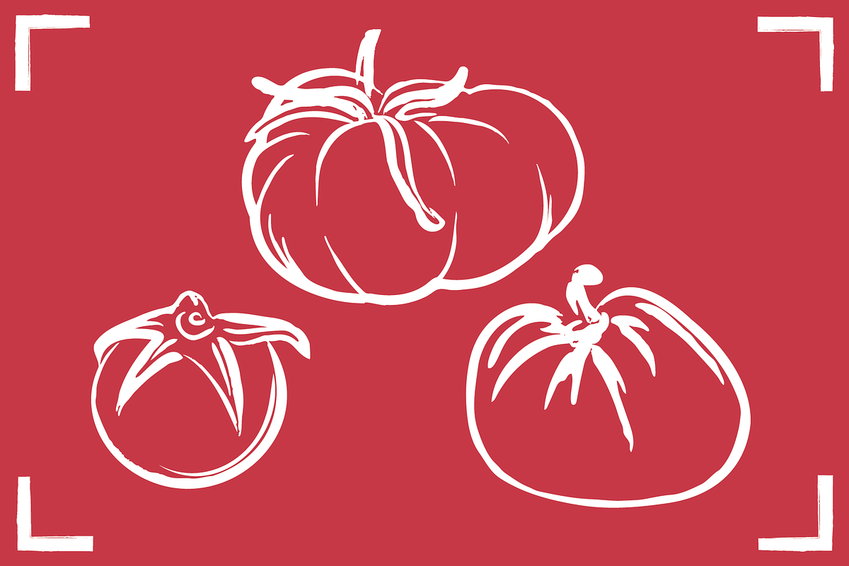 TOMATO LINE ART SET (24 elements), a Food Illustration by Bonfloret Studio (Photo 3 of 9)