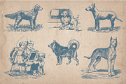 32 Hand Drawn Dogs and Puppies, an Animal Illustration by Mr Vintage (Thumbnail 4 of 5)