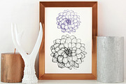 Drawing of DAHLIA Flower Line Art, a Decorative Illustration by Sense Library (Thumbnail 4 of 5)