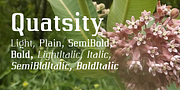 Quatsity, a Serif Font by Ingrimayne Type (Thumbnail 1 of 8)