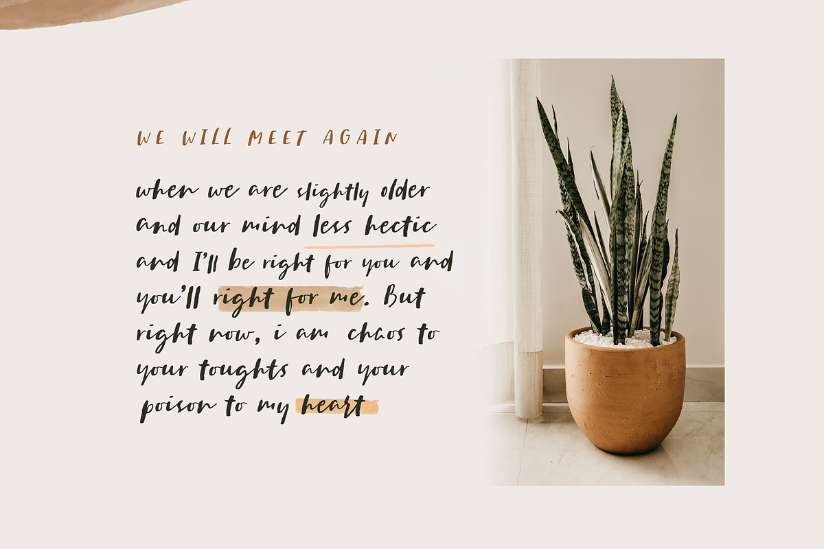 Sachie Script Font preview 6