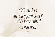 CS Ankia – Elegant Serif Font, a Serif Font by Craft Supply Co. (Thumbnail 2 of 8)