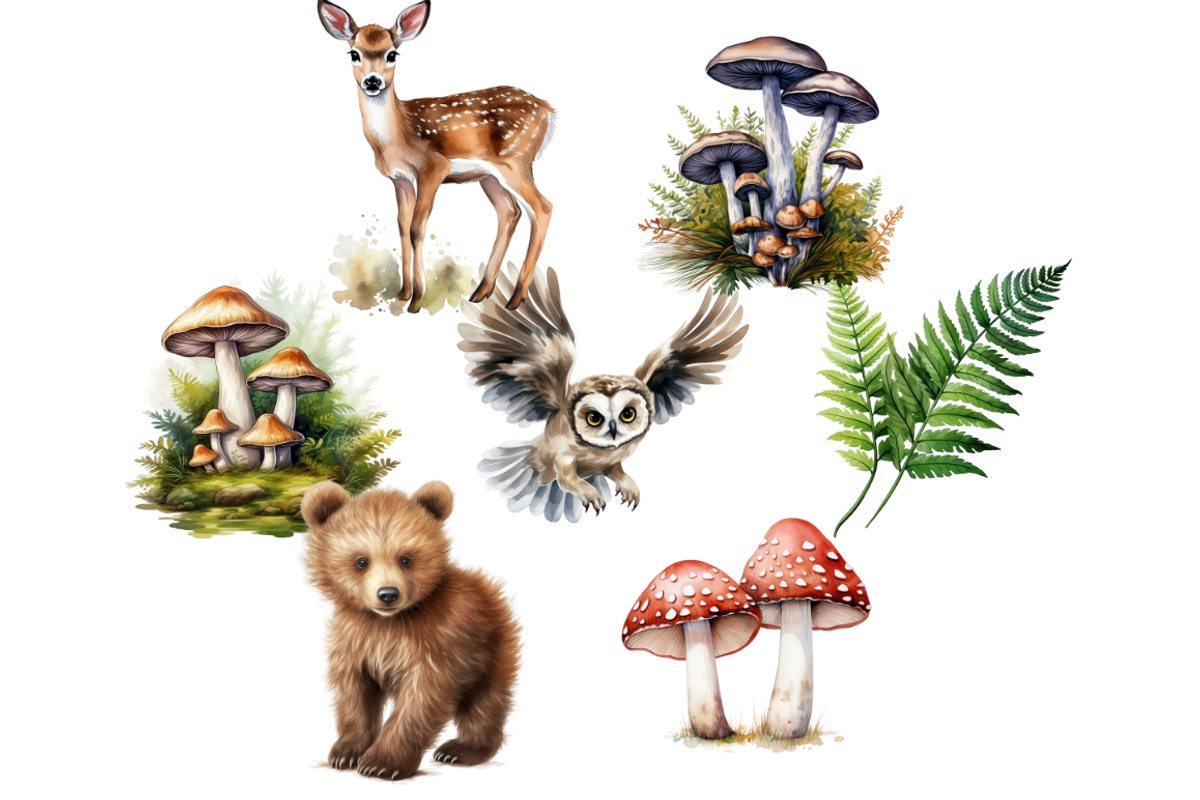 Woodland Animals Clipart Bundle, an Animal Illustration by Mash Mash Stickers (Photo 7 of 9)