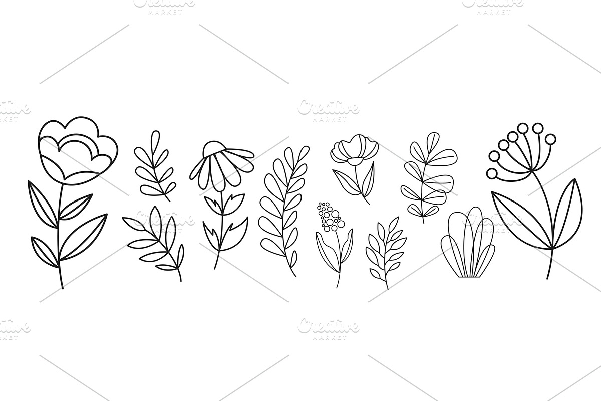 Flower line vector illustration, an Object Illustration by Zaie