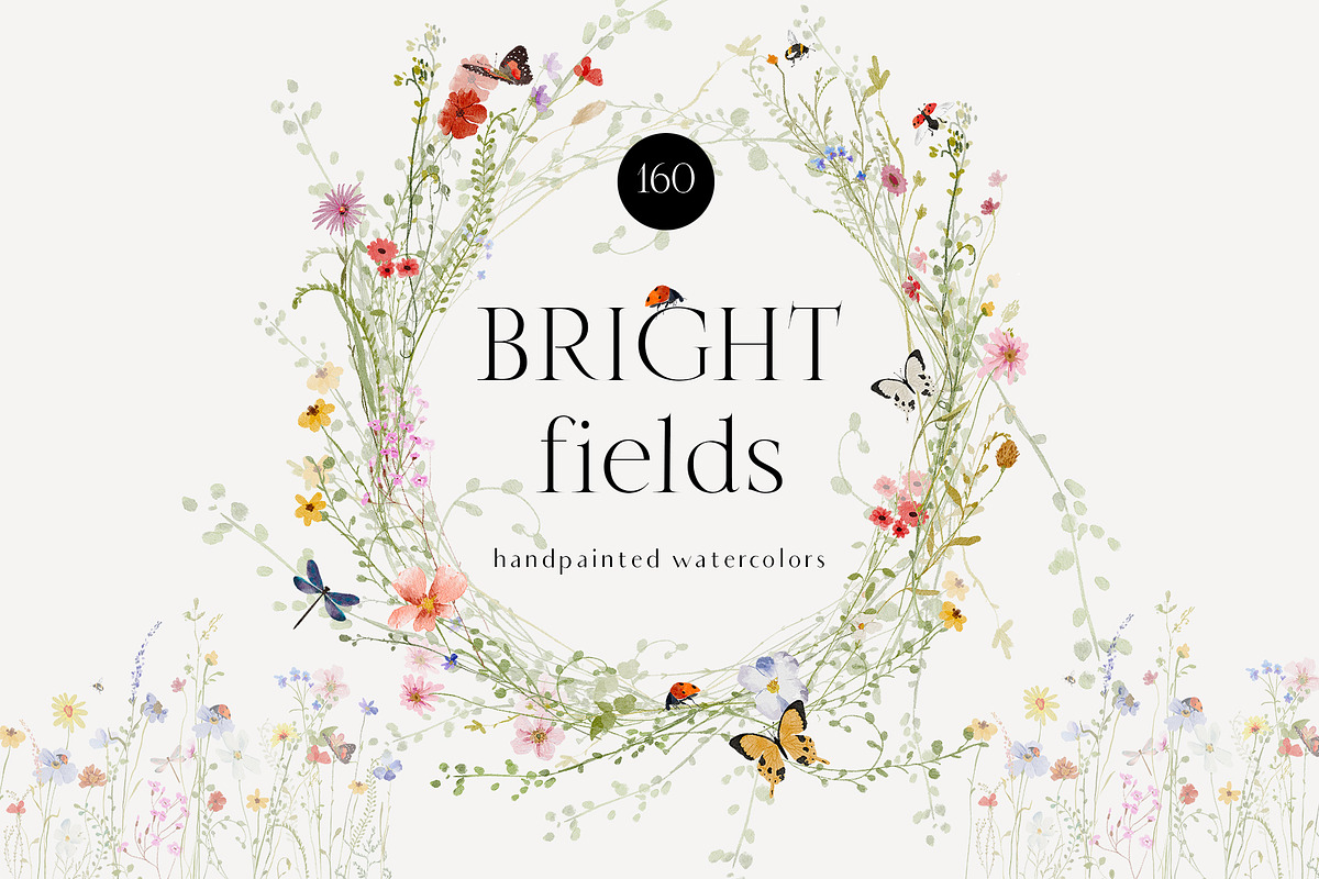 Watercolor Bright wildflowers set, a Decorative Illustration by Grace Noboa Illustrations (Photo 1 of 11)