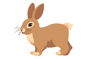 Vector Wild Animal Illustration Set., an Object Graphic by Gomolach (Thumbnail 5 of 10)