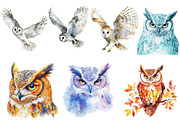 Fantasy Owl Clipart Bundle, an Illustration by Pixels.Craft (Thumbnail 5 of 5)