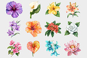 Watercolor Tropical Flowers Cipart, a Seasonal Illustration by Design Market (Thumbnail 2 of 5)