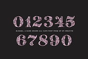 Blomma Hand-Drawn Display Font, a Serif Font by Up Up Creative (Thumbnail 9 of 12)